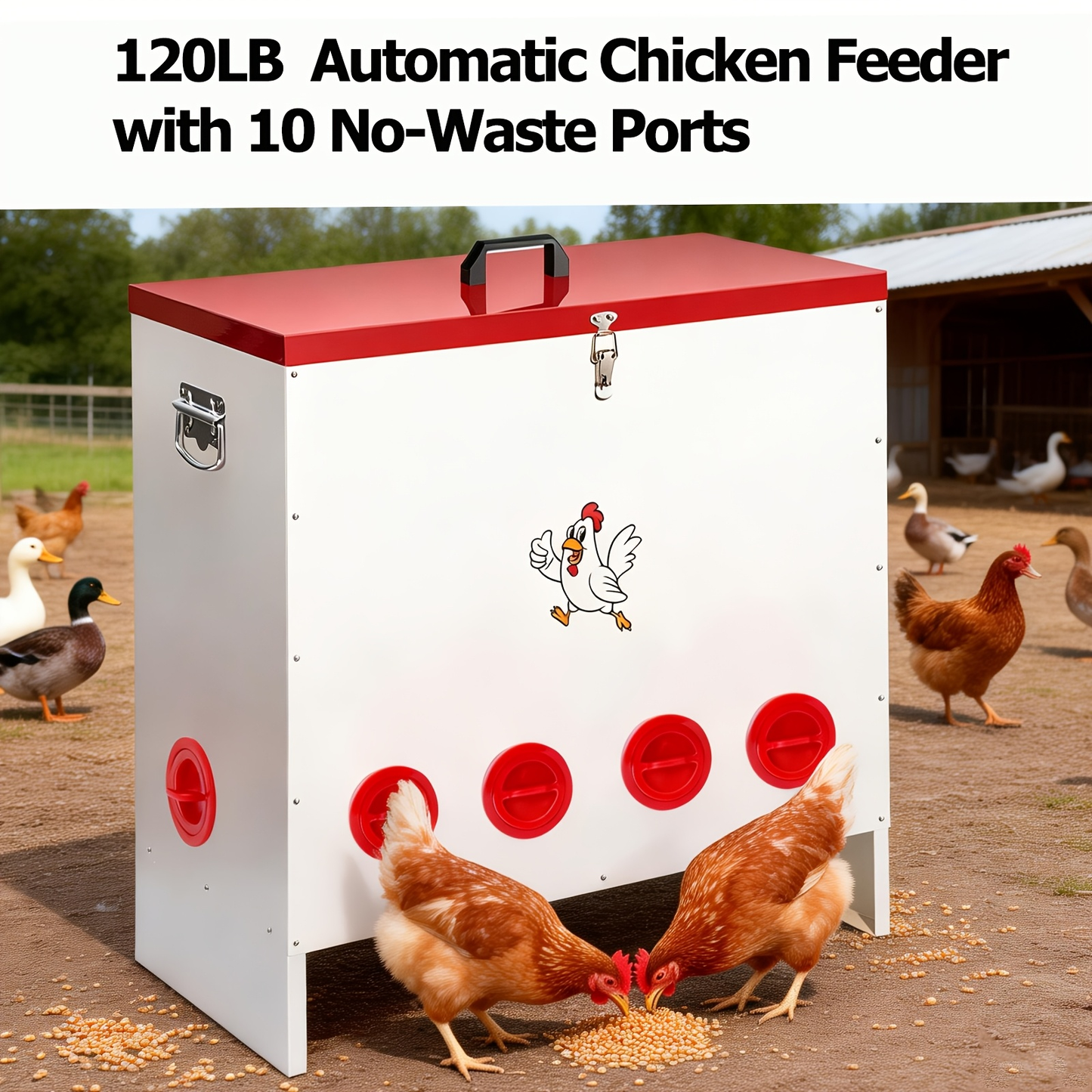 Gravity Chicken Feeder Stainless Steel 6 or 10 Port Rat-Proof