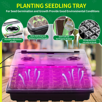 Seed Starter Tray with Grow Light 96 Cell Self-Watering | 10-Level Brightness & Timer | Humidity Dome | Indoor Seedling Kit for Vegetables Flowers Herbs