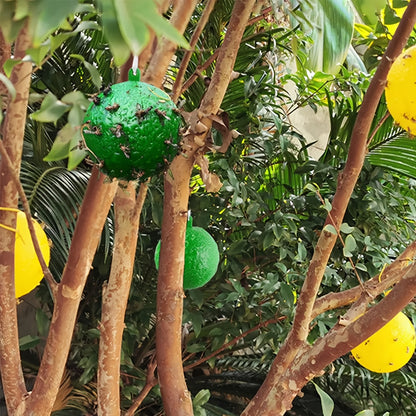 Sticky Fly Balls Hanging Trap – Fruit Fly & Insect Glue Ball for Orchard Garden Farm Indoor Outdoor Use, 5 Pack Yellow