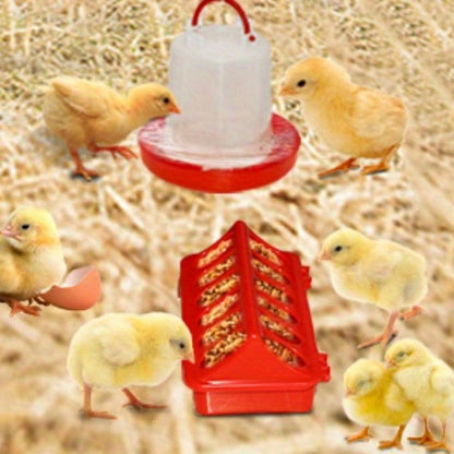 Chicken Brooder Tent Bundle | Chick Playpen Feeder Waterer Perch Kit