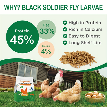 Dried Black Soldier Fly Larvae 10 LBS High Calcium Chicken Feed