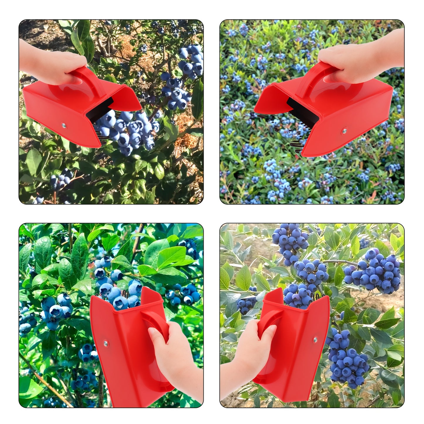 Berry Picker | Blueberry Rake Scoop Lingonberry Huckleberry Garden