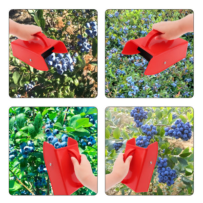 Berry Picker | Blueberry Rake Scoop Lingonberry Huckleberry Garden