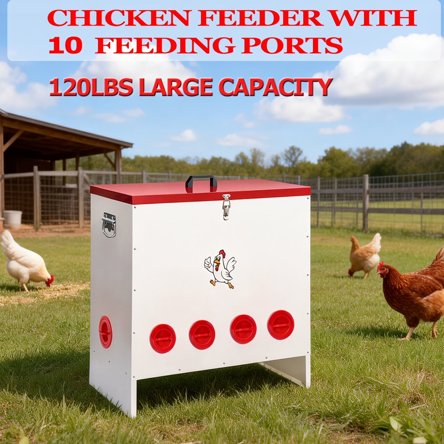 Gravity Chicken Feeder Stainless Steel 6 or 10 Port Rat-Proof