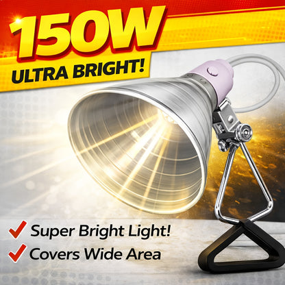Clamp Light Fixture 8.5 Inch 150W Max E26 Socket Aluminum Reflector 360° Adjustable | Work Light for Grow Workshop Photography Bedside Studio 2-Pack