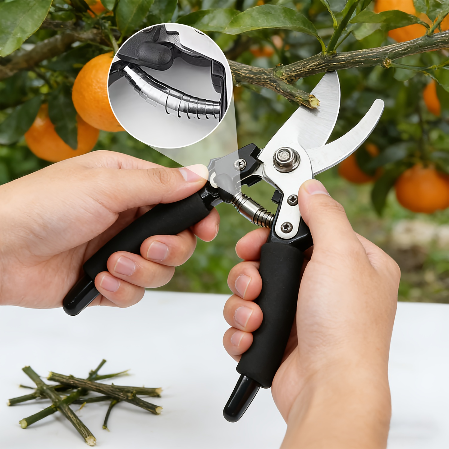 Stainless Steel Pruning Shears with Sharpening Stone, Ergonomic Comfort Grip Garden Scissors for Home Gardening, Flower Arranging & Plant Trimming – Long-Lasting Sharp Blades
