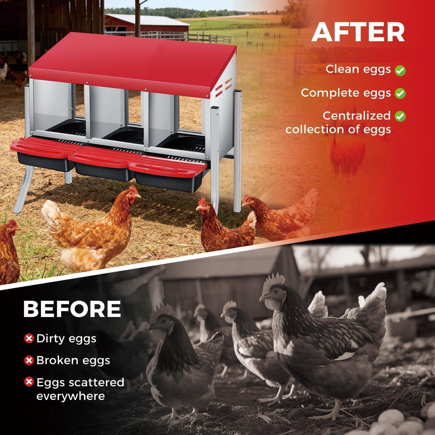 Chicken Nesting Box 3-Hole Metal Wall Mount | Auto Egg Collector Coop