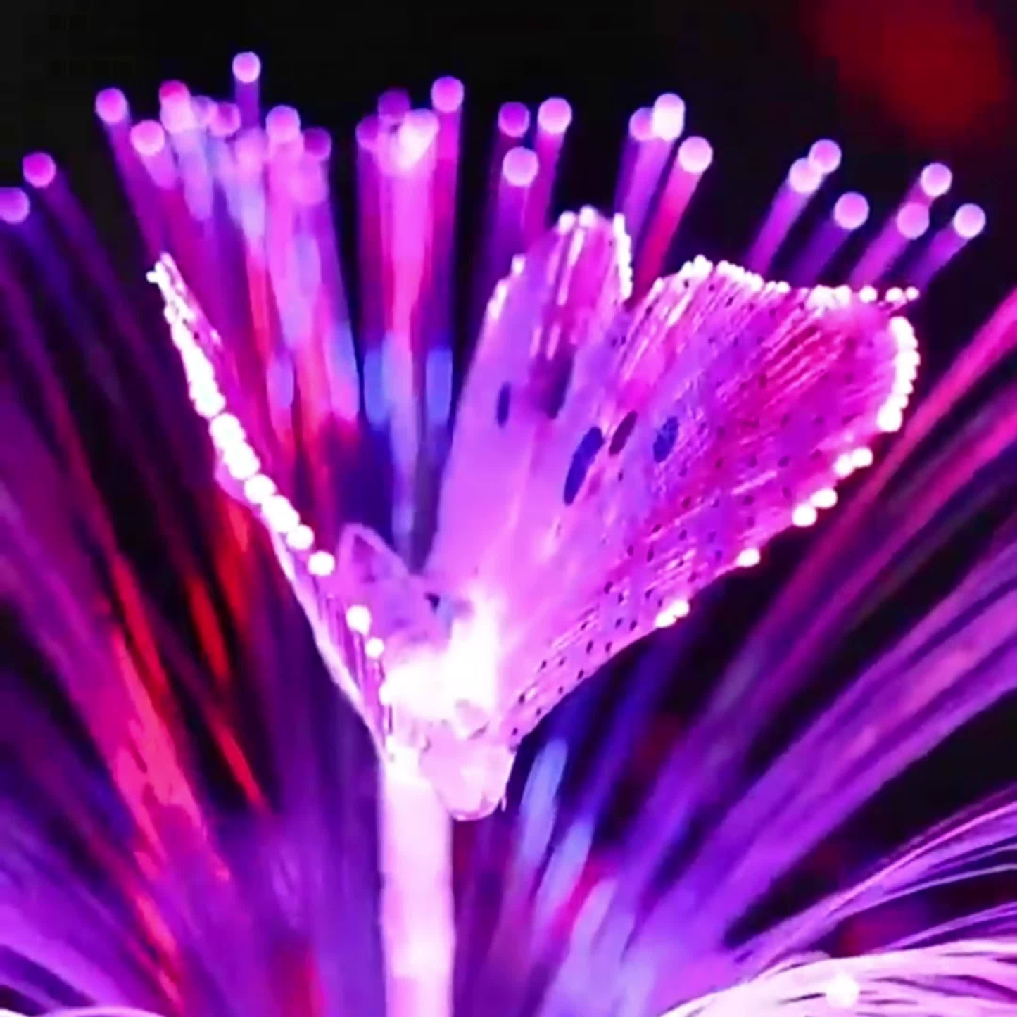 Solar Jellyfish Butterfly Garden Lights 4-Pack Color Changing