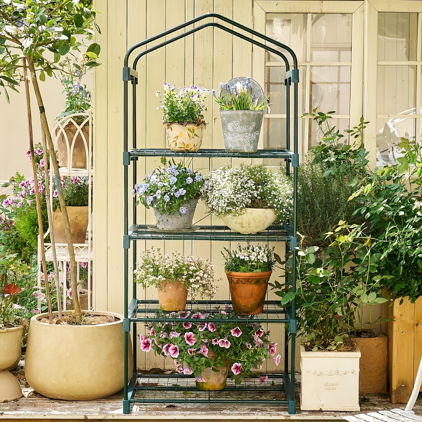 Mini Greenhouse with Steel Frame & Roll-Up Zipper Door | Portable Indoor Outdoor Plant Greenhouse | Weatherproof Rack Stand 2-Tier & 3-Tier Options