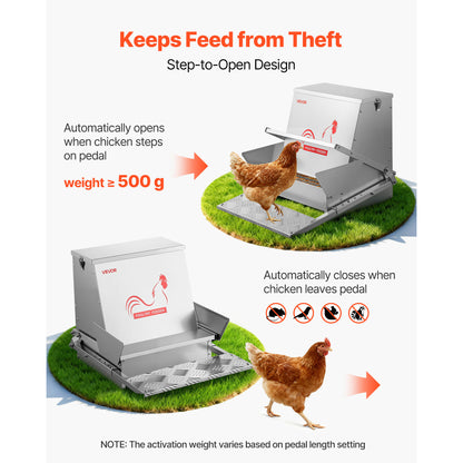 Automatic Chicken Feeder Treadle 40 lbs Galvanized Steel Lockable