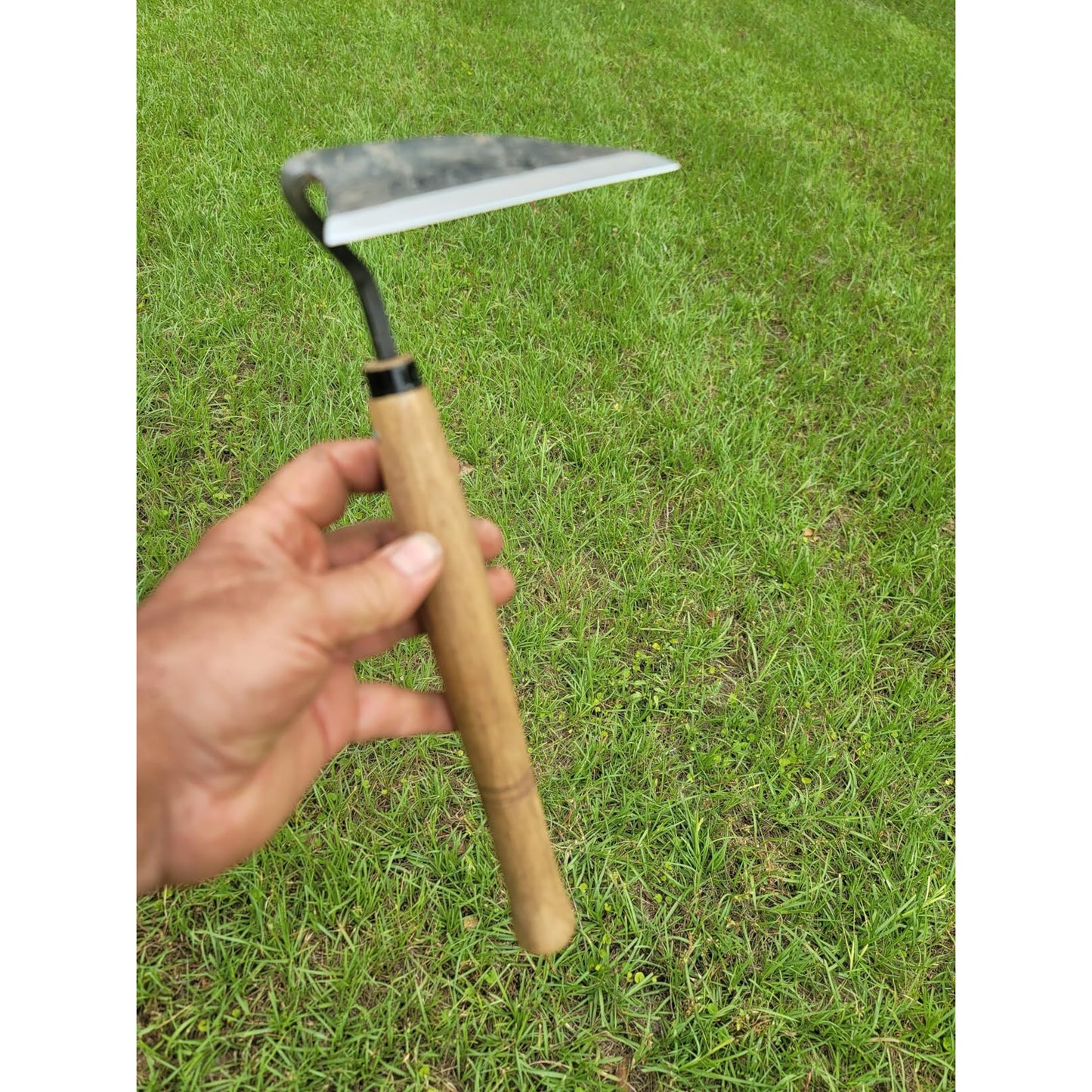 Japanese Weeding Sickle Full Size Sharp Carbon Steel Blade with Ergonomic Handle, Traditional Hand Hoe for Fast Garden Weeding, Soil Cultivation and Vegetable Bed Maintenance