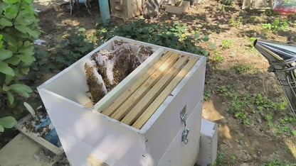 Beekeeping Tool Kit 15PCS - Smoker, Brush, Hive Scraper, Queen Catcher & More