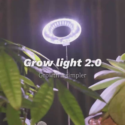 Grow Light for Indoor Plants 4-Head Full Spectrum | 720° Rotatable Retractable Pole 4 Dimming Modes Auto Timer 3/6/9H USB | Desktop Potted Plants