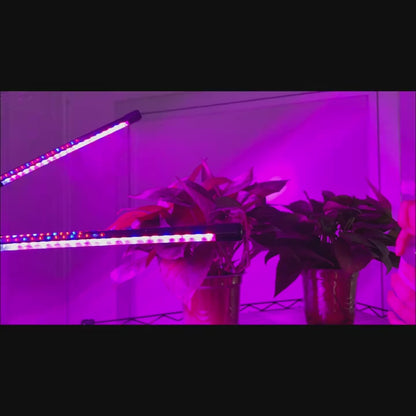 Remote Control Grow Light 4/5 Head Red Blue White Full Spectrum | 29-61'' Adjustable Tripod Stand Auto Timer | Indoor Plants Wireless Floor Lamp