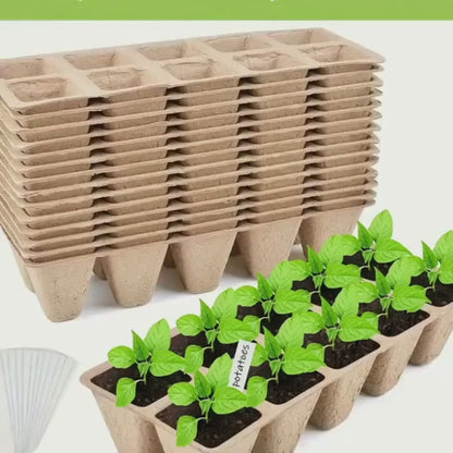 Peat Pots Seed Starter 100pcs Square Biodegradable Paper | Germination Trays with Peat Substrate for Herbs Cacti Flowers | Indoor Outdoor Transplanting
