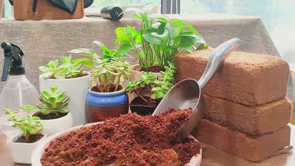 Coco Coir Bricks for Plants 1.32 LB Each Low EC pH Balanced