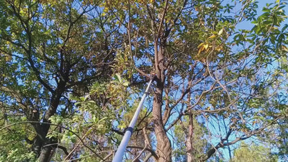 Electric Pole Saw 2-in-1 Cordless with 8" & 6" Chain, 20V 4.0Ah Battery, Adjustable Extendable Tree Pruner for Wood Cutting