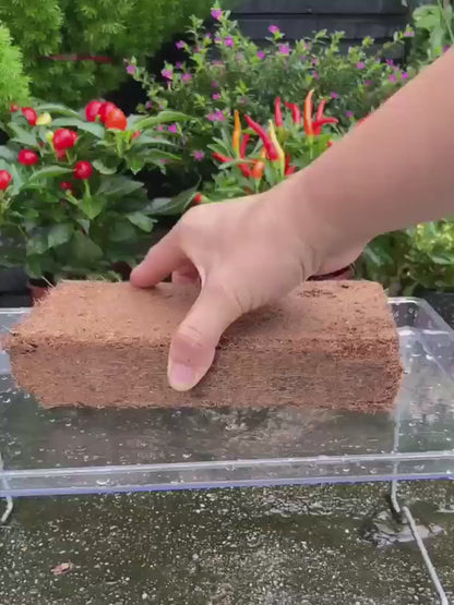 Coco Coir Bricks Natural Coconut Fiber Planting Soil | Compressed Coir Block Expands 6x for Hydroponics Potting Mix Garden Beds | 200g 400g 800g Options