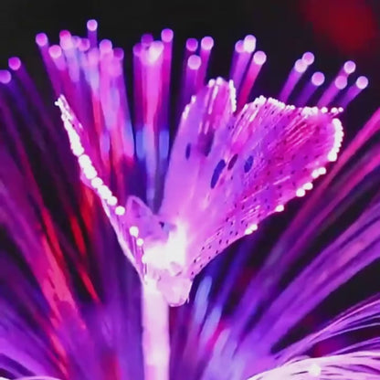 Solar Jellyfish Butterfly Garden Lights 4-Pack Color Changing
