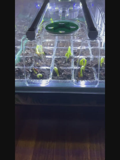 Seed Starting Tray Kit 4-Set 160 Cells High Dome | 8 LED Grow Lights Smart Timer 3 Modes 5 Brightness | Indoor Greenhouse Germination Propagation