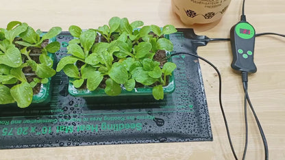 Seedling Heat Mat with Smart Thermostat Control | PVC Germination Heating Pad Accelerate Seed Sprouting Root Zone Warmth | Indoor Garden Greenhouse 2 or 4 Pack