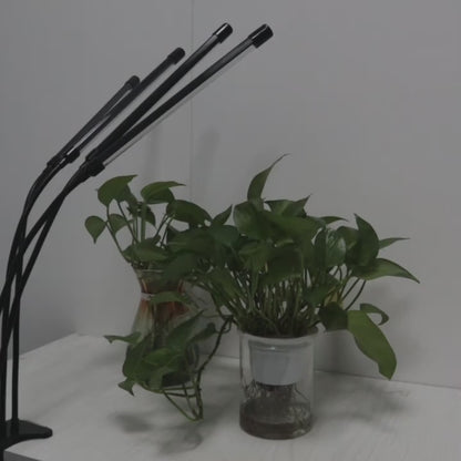 Clip-On Grow Light Strip 3/4/5 Tubes Red Blue Full Spectrum | 5-Level Brightness 3/9/12H Timer Clamp Type | Indoor Plants Desk Shelf Seedling